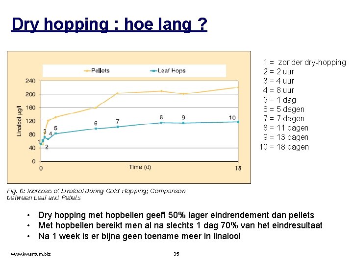 Dry hopping : hoe lang ? 1 = zonder dry-hopping 2 = 2 uur