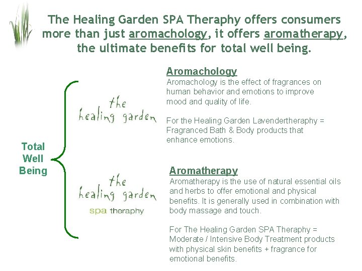 The Healing Garden SPA Theraphy offers consumers more than just aromachology, it offers aromatherapy,