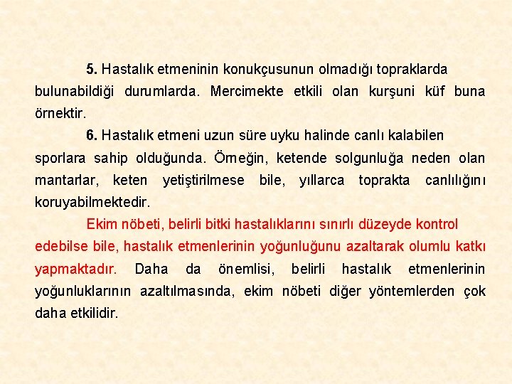 5. Hastalık etmeninin konukçusunun olmadığı topraklarda bulunabildiği durumlarda. Mercimekte etkili olan kurşuni küf buna