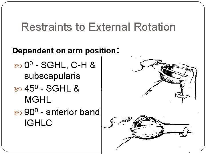 Restraints to External Rotation Dependent on arm position: 00 - SGHL, C-H & subscapularis
