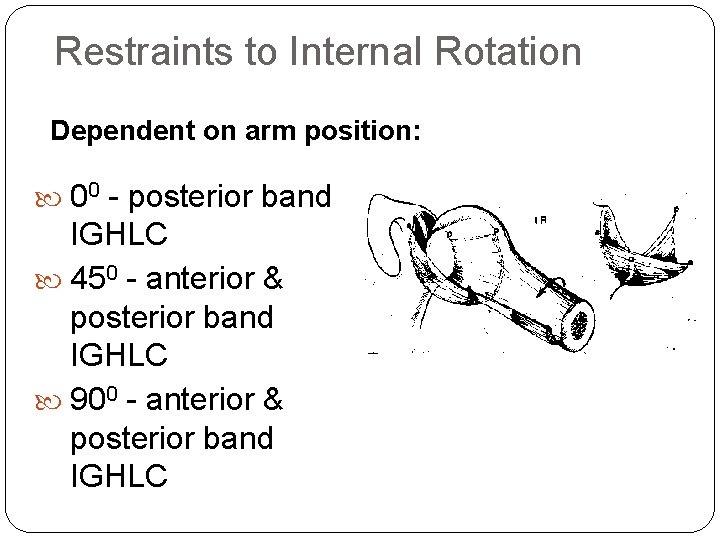 Restraints to Internal Rotation Dependent on arm position: 00 - posterior band IGHLC 450