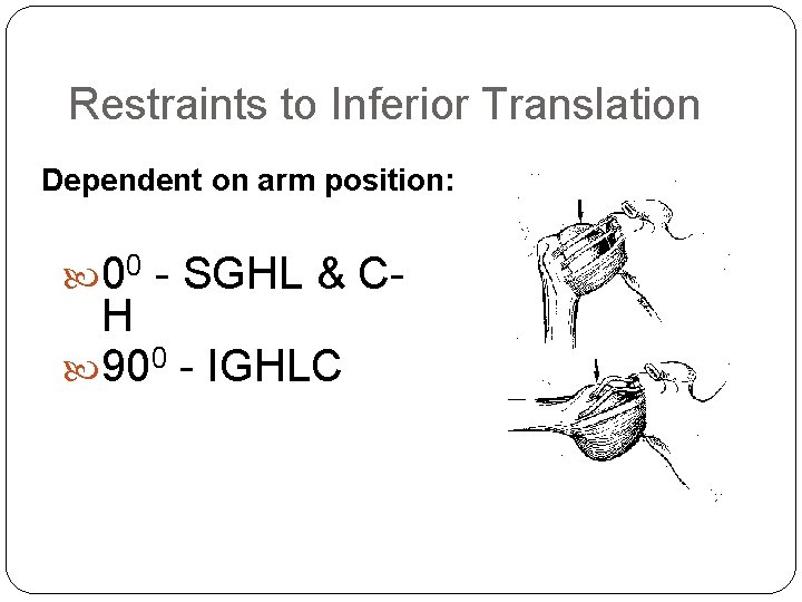 Restraints to Inferior Translation Dependent on arm position: 00 - SGHL & C- H