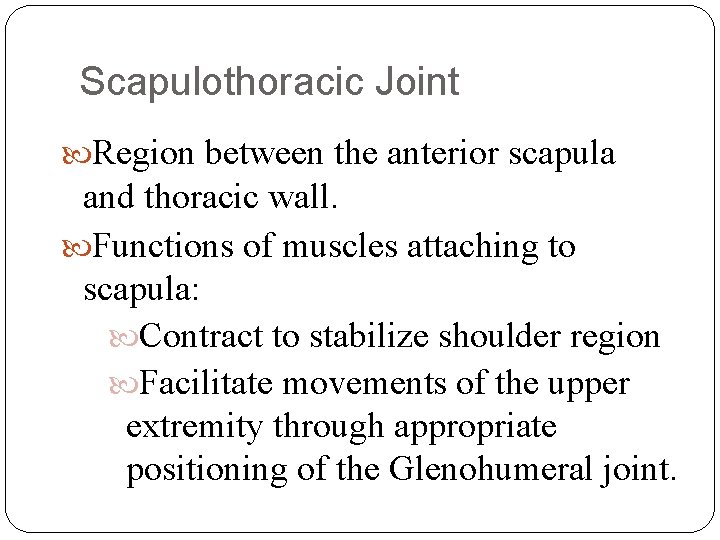 Scapulothoracic Joint Region between the anterior scapula and thoracic wall. Functions of muscles attaching