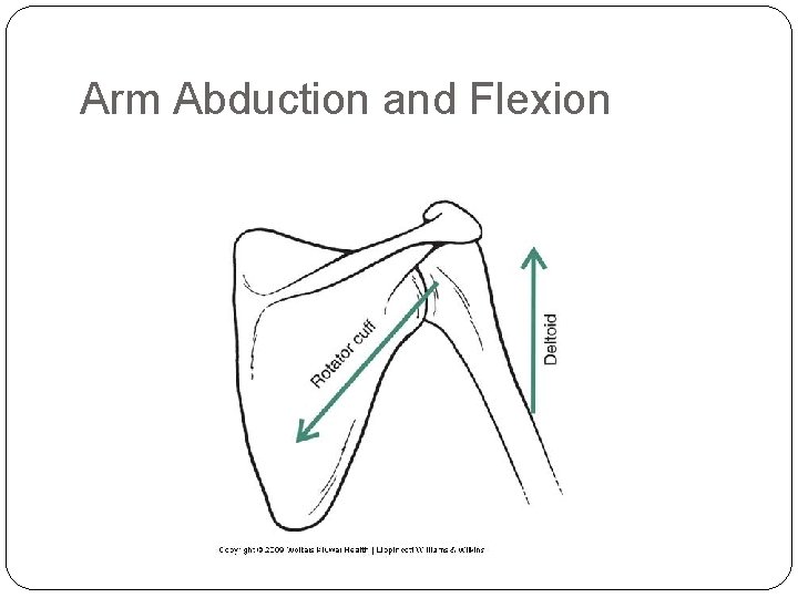 Arm Abduction and Flexion 