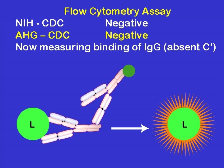 Flow Cytometry Assay NIH - CDC Negative AHG – CDC Negative Now measuring binding