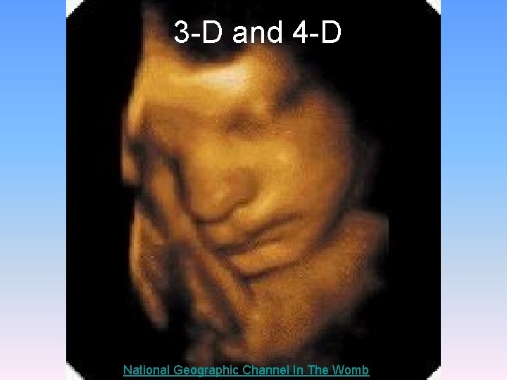 3 -D and 4 -D National Geographic Channel In The Womb 