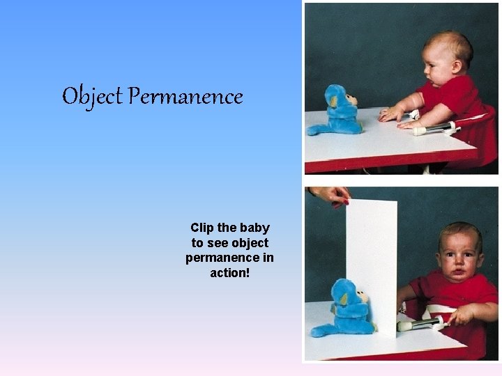 Object Permanence Clip the baby to see object permanence in action! 