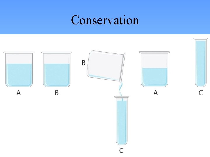 Conservation 