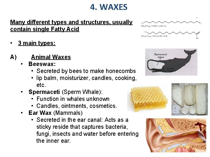 4. WAXES Many different types and structures, usually contain single Fatty Acid • 3