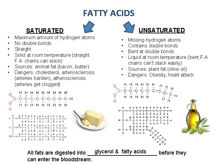 FATTY ACIDS UNSATURATED • • • Maximum amount of hydrogen atoms No double bonds