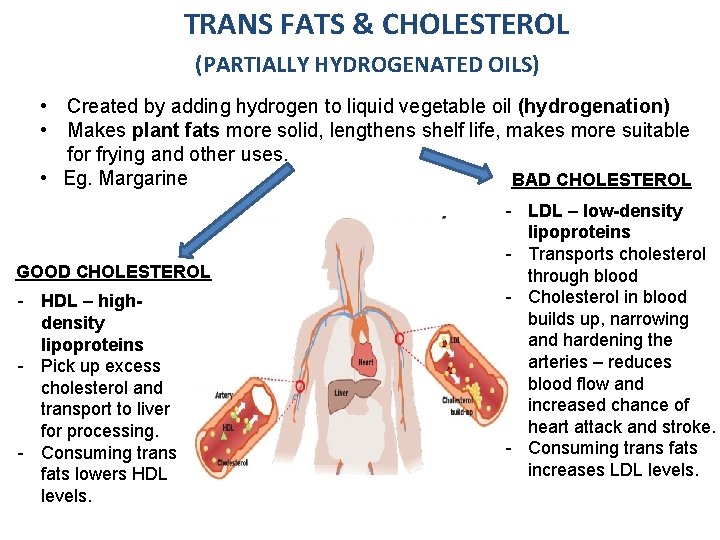 TRANS FATS & CHOLESTEROL (PARTIALLY HYDROGENATED OILS) • Created by adding hydrogen to liquid