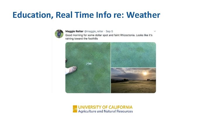 Education, Real Time Info re: Weather 