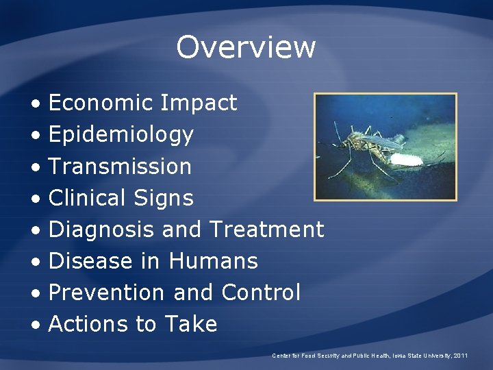 Overview • Economic Impact • Epidemiology • Transmission • Clinical Signs • Diagnosis and