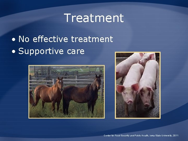 Treatment • No effective treatment • Supportive care Center for Food Security and Public