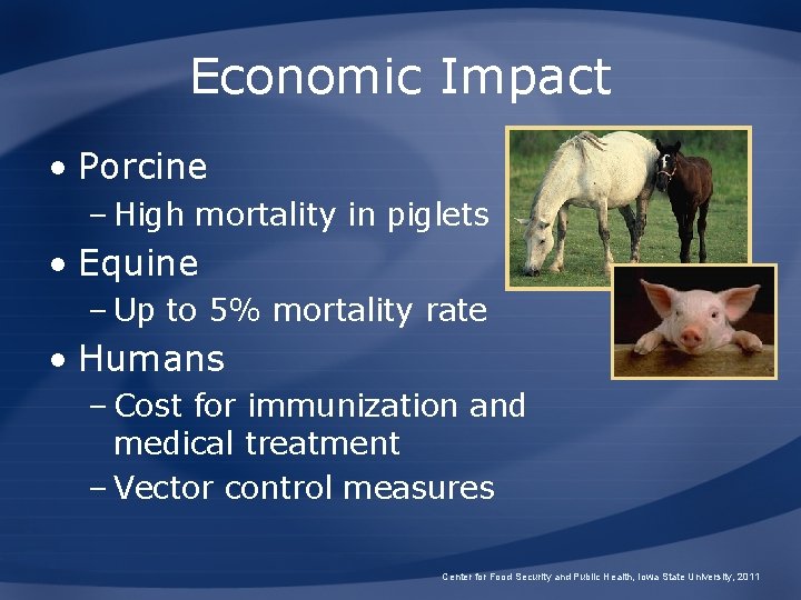 Economic Impact • Porcine – High mortality in piglets • Equine – Up to