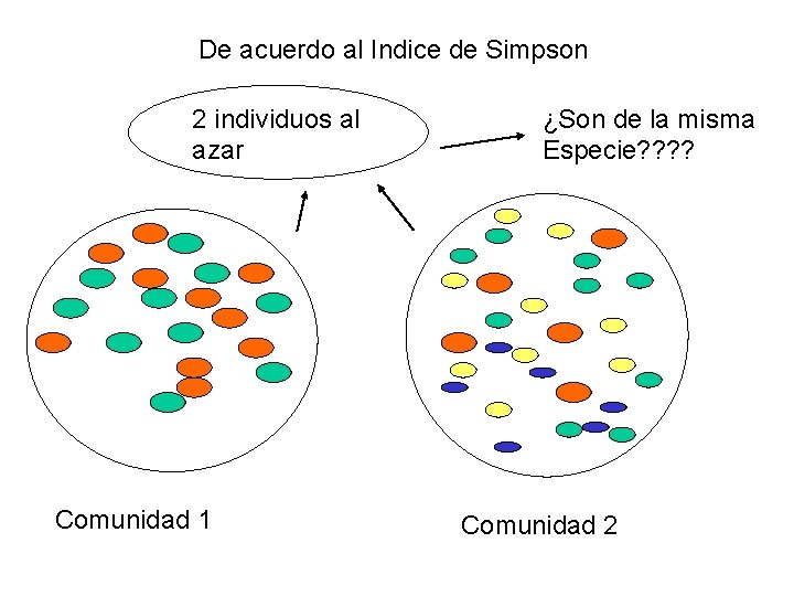 De acuerdo al Indice de Simpson 2 individuos al azar Comunidad 1 ¿Son de