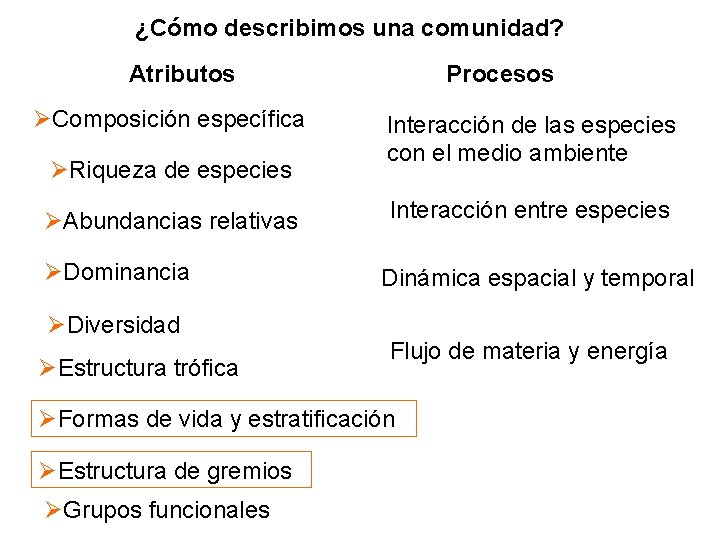 ¿Cómo describimos una comunidad? Atributos Composición específica Riqueza de especies Abundancias relativas Dominancia Diversidad