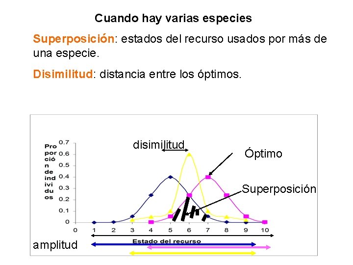 Cuando hay varias especies Superposición: estados del recurso usados por más de una especie.