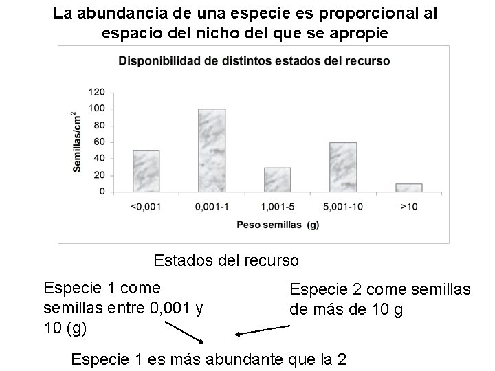 La abundancia de una especie es proporcional al espacio del nicho del que se