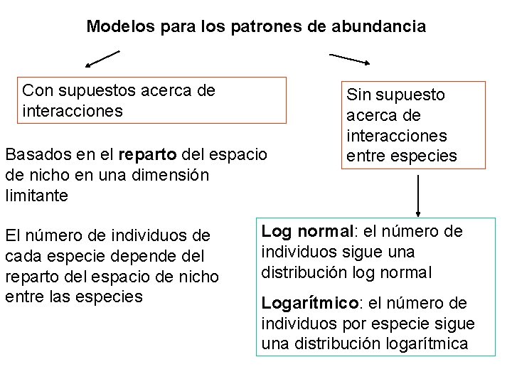 Modelos para los patrones de abundancia Con supuestos acerca de interacciones Basados en el