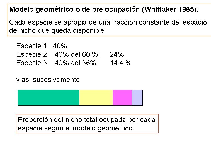 Modelo geométrico o de pre ocupación (Whittaker 1965): Cada especie se apropia de una