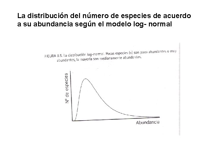 La distribución del número de especies de acuerdo a su abundancia según el modelo