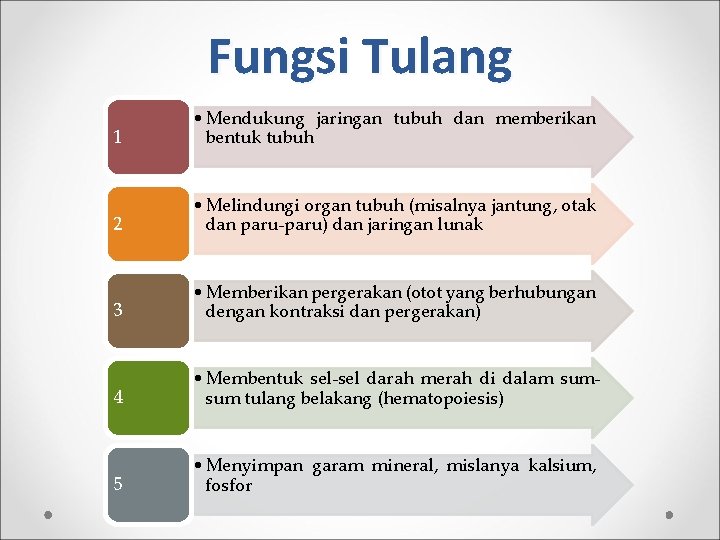 Fungsi Tulang 1 • Mendukung jaringan tubuh dan memberikan bentuk tubuh 2 • Melindungi