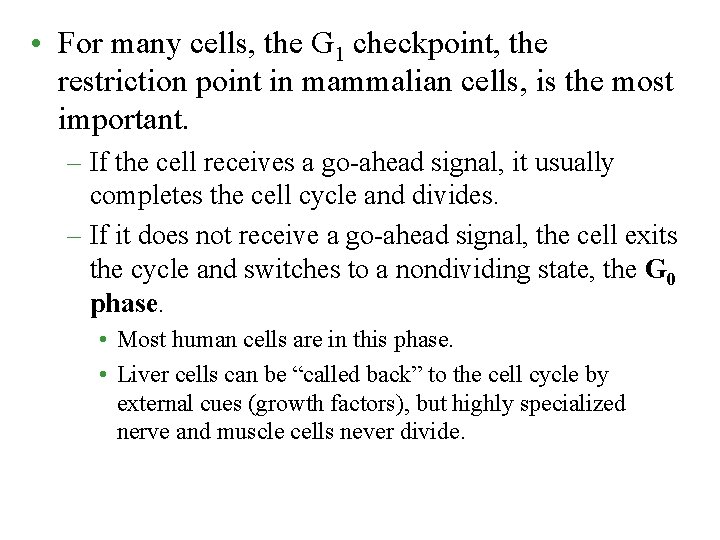  • For many cells, the G 1 checkpoint, the restriction point in mammalian
