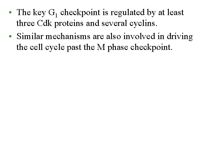  • The key G 1 checkpoint is regulated by at least three Cdk