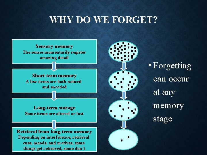 WHY DO WE FORGET? Sensory memory The senses momentarily register amazing detail Short-term memory