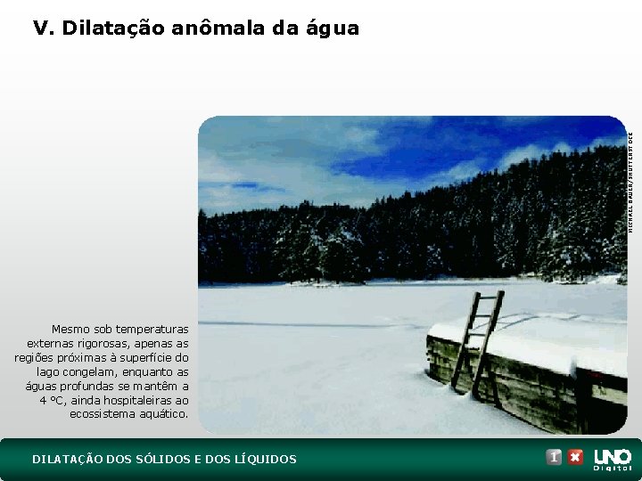 MICHAEL BAUER/SHUTTERSTOCK V. Dilatação anômala da água Mesmo sob temperaturas externas rigorosas, apenas as