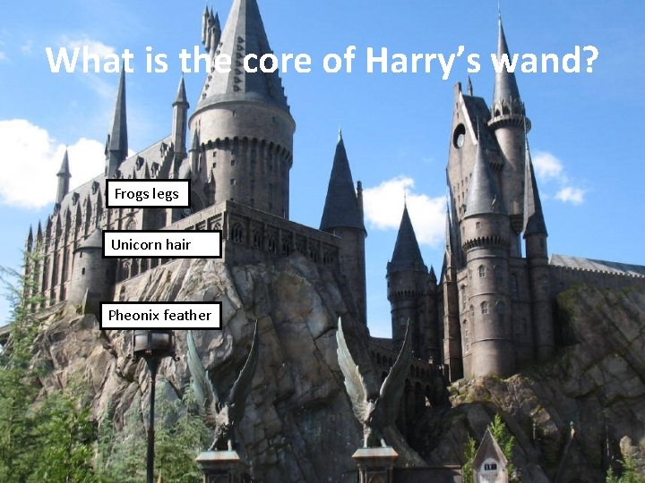 What is the core of Harry’s wand? Frogs legs Unicorn hair Pheonix feather 