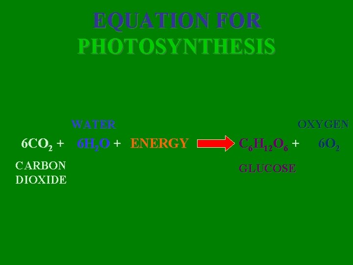 EQUATION FOR PHOTOSYNTHESIS WATER 6 CO 2 + 6 H 2 O + ENERGY