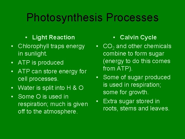 Photosynthesis Processes • • • Light Reaction Chlorophyll traps energy in sunlight. ATP is