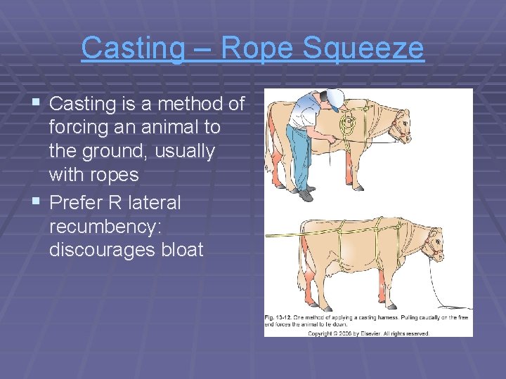 Casting – Rope Squeeze § Casting is a method of forcing an animal to