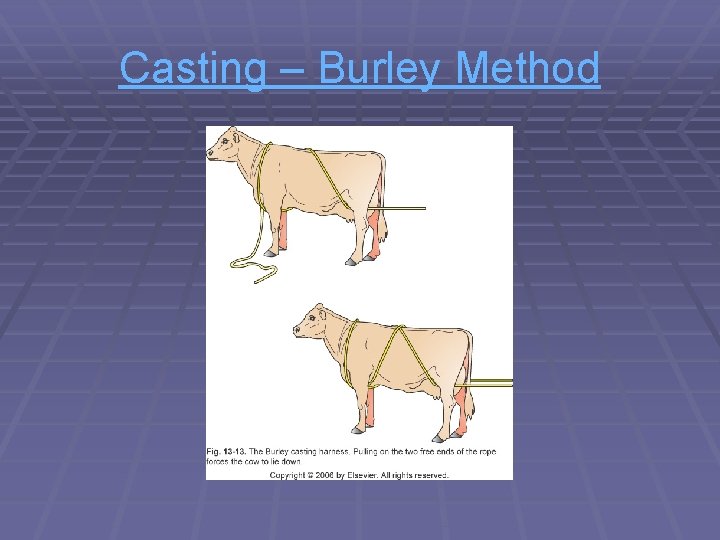 Casting – Burley Method 