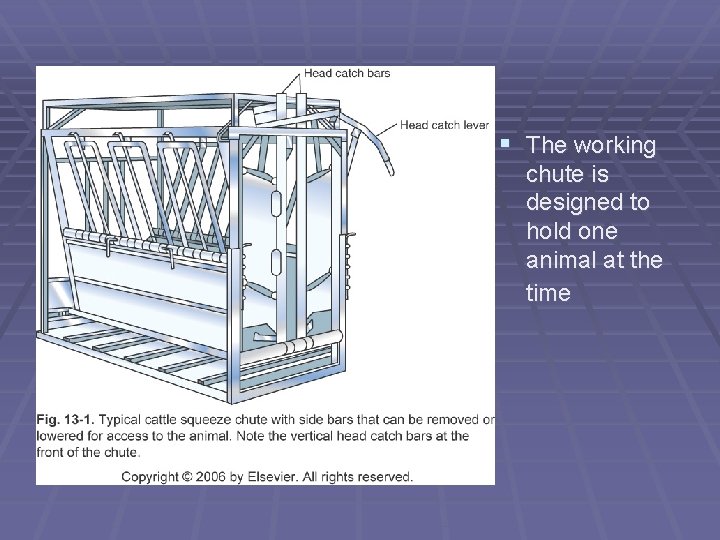 § The working chute is designed to hold one animal at the time 