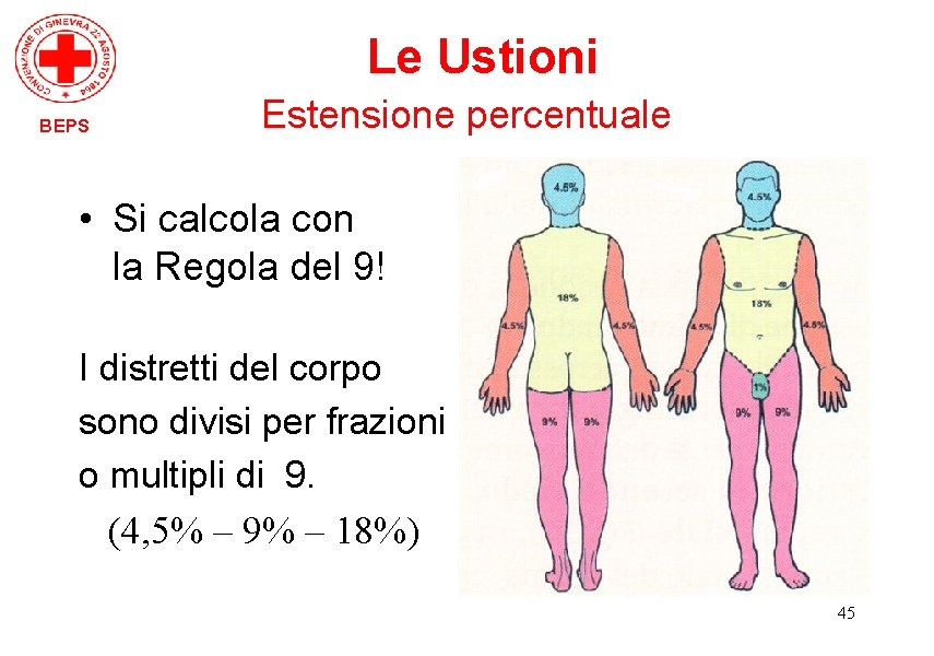 Le Ustioni BEPS Estensione percentuale • Si calcola con la Regola del 9! I