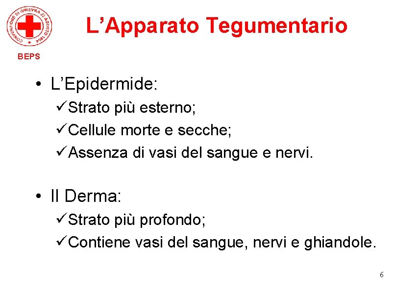L’Apparato Tegumentario BEPS • L’Epidermide: üStrato più esterno; üCellule morte e secche; üAssenza di