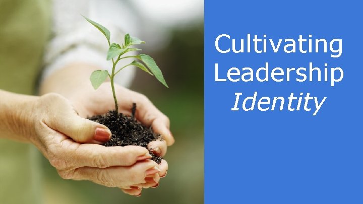 Cultivating Leadership Identity 