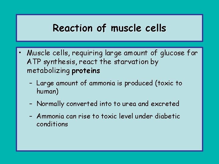 Reaction of muscle cells • Muscle cells, requiring large amount of glucose for ATP
