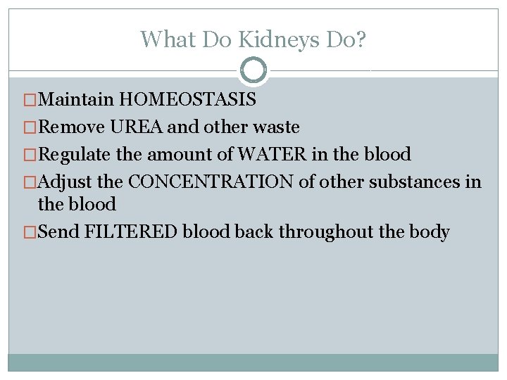 What Do Kidneys Do? �Maintain HOMEOSTASIS �Remove UREA and other waste �Regulate the amount