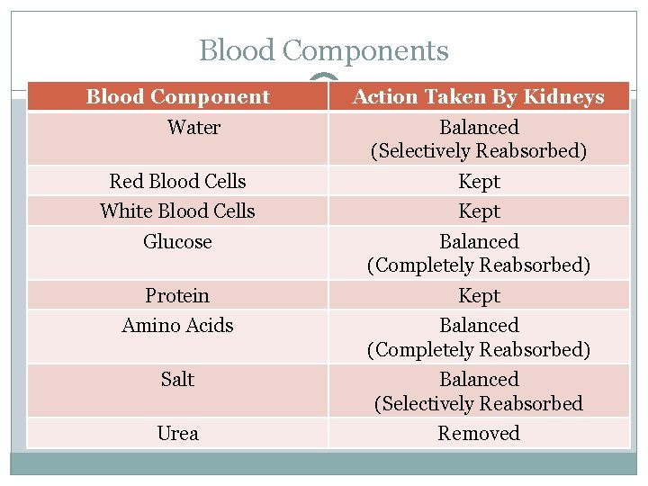 Blood Components Blood Component Water Action Taken By Kidneys Balanced (Selectively Reabsorbed) Red Blood