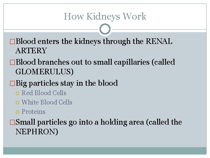 Kidney Filtration Lab Objectives Determine how kidneys function