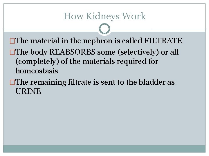 How Kidneys Work �The material in the nephron is called FILTRATE �The body REABSORBS