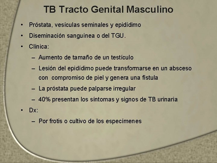 TB Tracto Genital Masculino • Próstata, vesículas seminales y epidídimo • Diseminación sanguínea o