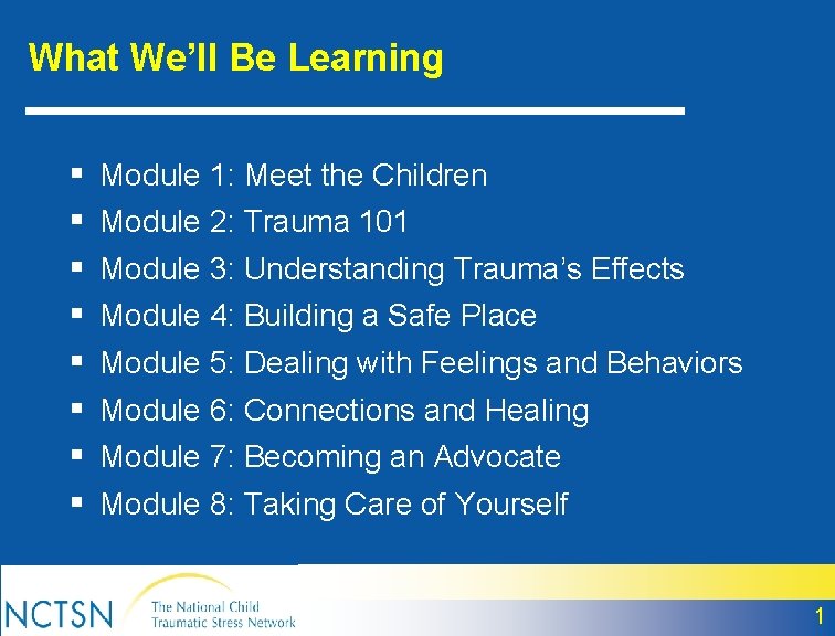 What We’ll Be Learning § § § § Module 1: Meet the Children Module