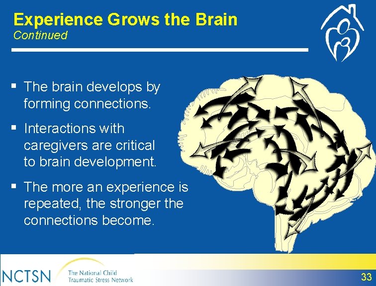 Experience Grows the Brain Continued § The brain develops by forming connections. § Interactions