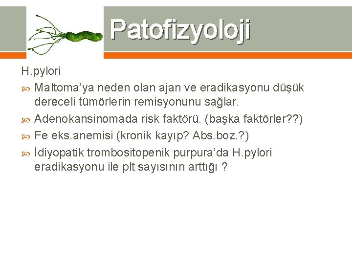 Patofizyoloji H. pylori Maltoma’ya neden olan ajan ve eradikasyonu düşük dereceli tümörlerin remisyonunu sağlar.