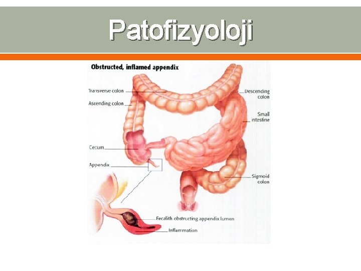 Patofizyoloji 